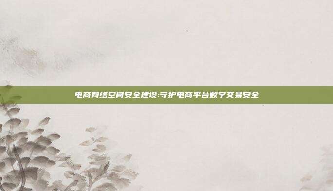 电商网络空间安全建设:守护电商平台数字交易安全