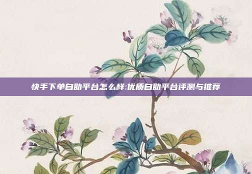快手下单自助平台怎么样:优质自助平台评测与推荐