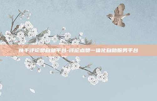 快手评论赞自助平台-评论点赞一体化自助服务平台
