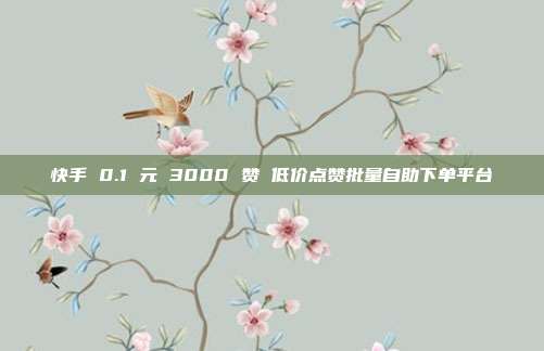 快手 0.1 元 3000 赞 低价点赞批量自助下单平台
