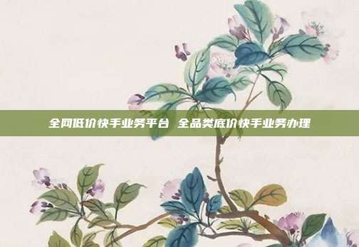 全网低价快手业务平台 全品类底价快手业务办理