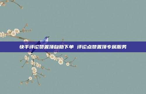 快手评论赞置顶自助下单 评论点赞置顶专属服务