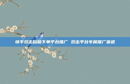 快手双击自助下单平台推广 双击平台专属推广渠道