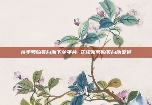 快手号购买自助下单平台 正规账号购买自助渠道