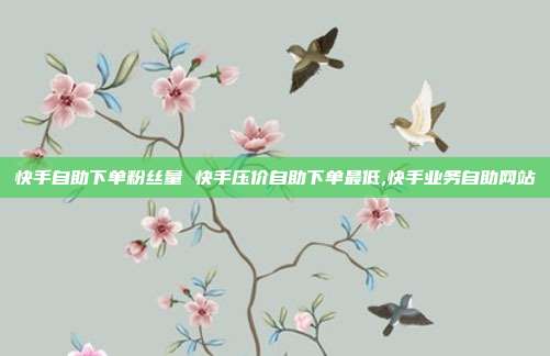 快手自助下单粉丝量 快手压价自助下单最低,快手业务自助网站