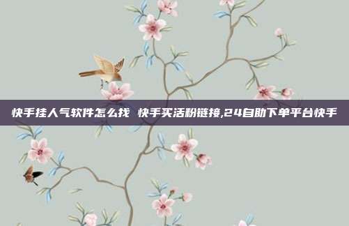 快手挂人气软件怎么找 快手买活粉链接,24自助下单平台快手