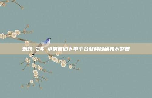 蚂蚁 24 小时自助下单平台业务秒到账不踩雷
