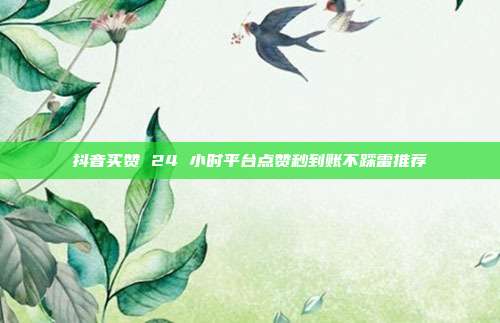 抖音买赞 24 小时平台点赞秒到账不踩雷推荐