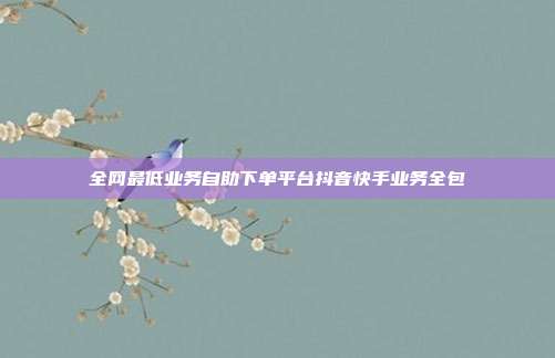 全网最低业务自助下单平台抖音快手业务全包