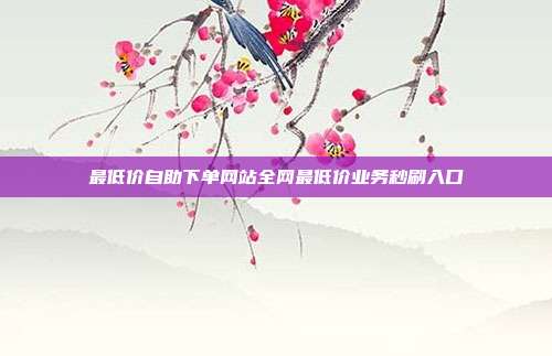 最低价自助下单网站全网最低价业务秒刷入口