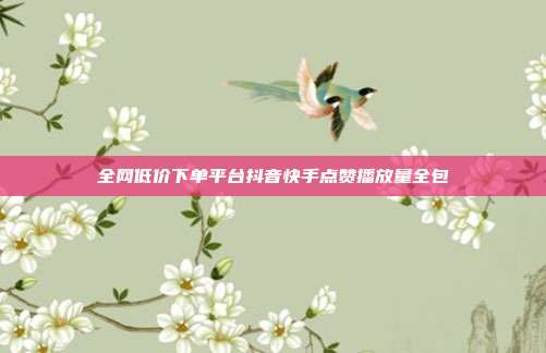 全网低价下单平台抖音快手点赞播放量全包