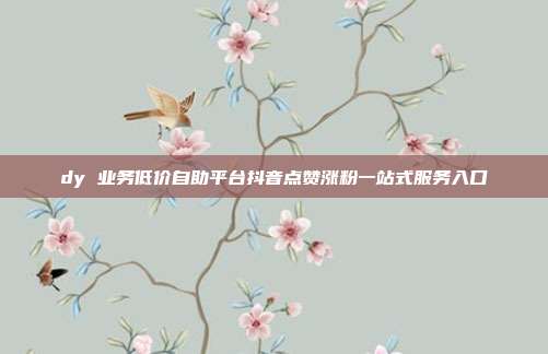 dy 业务低价自助平台抖音点赞涨粉一站式服务入口