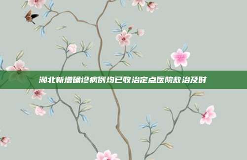 湖北新增确诊病例均已收治定点医院救治及时