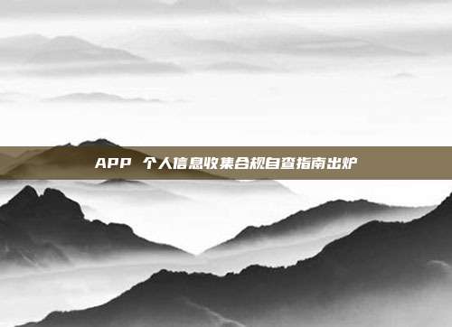 APP 个人信息收集合规自查指南出炉
