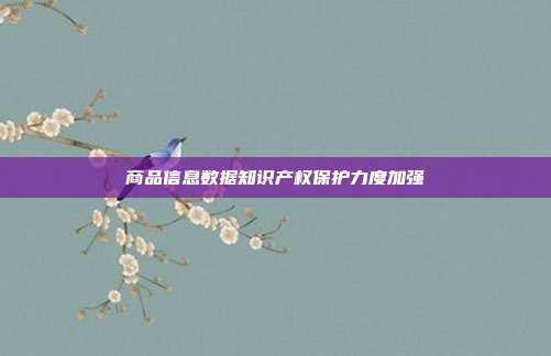商品信息数据知识产权保护力度加强