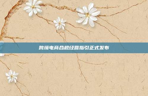 跨境电商合规经营指引正式发布