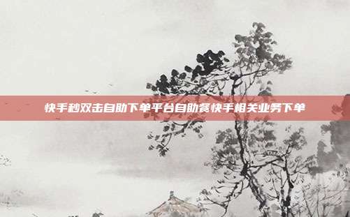 快手秒双击自助下单平台自助餐快手相关业务下单
