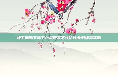 快手自助下单平台最便宜高性价比业务推荐实测