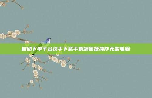 自助下单平台快手下载手机端便捷操作无需电脑