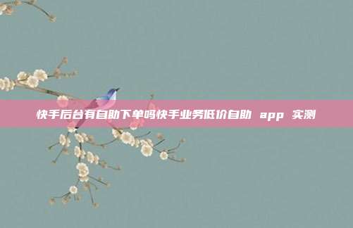 快手后台有自助下单吗快手业务低价自助 app 实测
