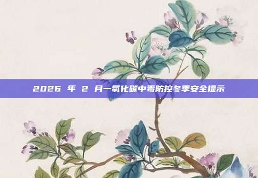 2026 年 2 月一氧化碳中毒防控冬季安全提示