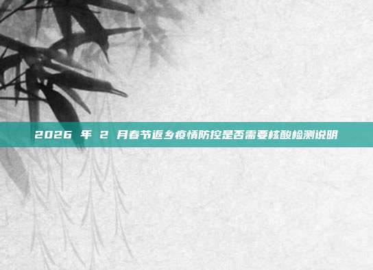 2026 年 2 月春节返乡疫情防控是否需要核酸检测说明