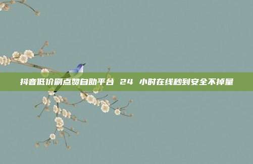 抖音低价刷点赞自助平台 24 小时在线秒到安全不掉量