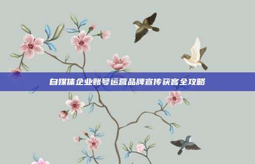 自媒体企业账号运营品牌宣传获客全攻略