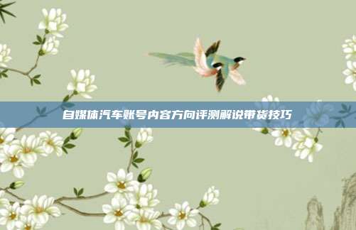 自媒体汽车账号内容方向评测解说带货技巧