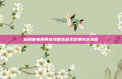 自媒体电商带货攻略选品卖货赚钱全流程