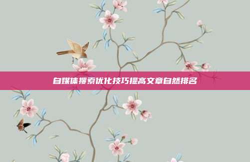 自媒体搜索优化技巧提高文章自然排名