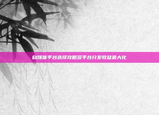 自媒体平台选择攻略多平台分发收益最大化