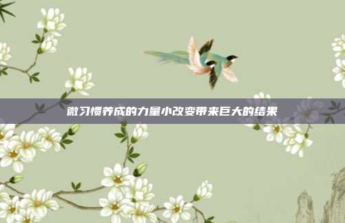 微习惯养成的力量小改变带来巨大的结果