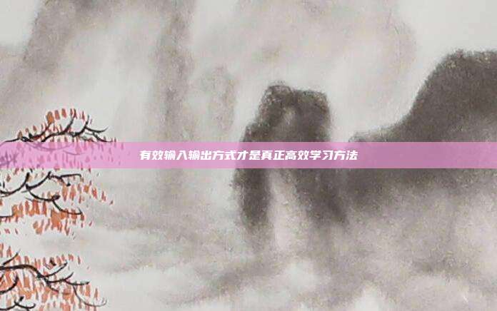 有效输入输出方式才是真正高效学习方法