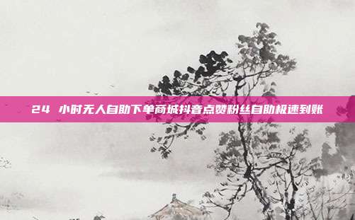 24 小时无人自助下单商城抖音点赞粉丝自助极速到账