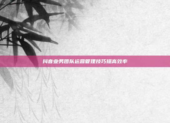 抖音业务团队运营管理技巧提高效率