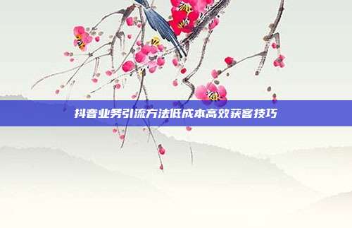抖音业务引流方法低成本高效获客技巧