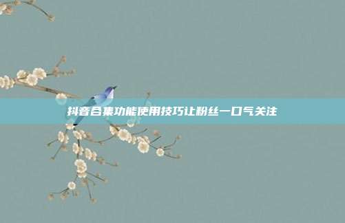 抖音合集功能使用技巧让粉丝一口气关注