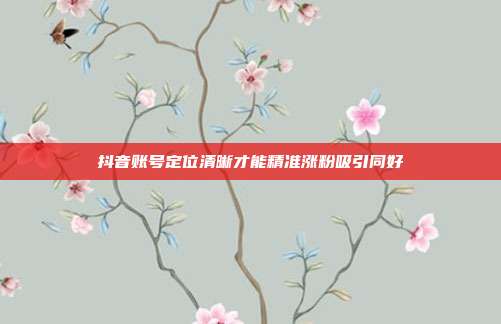 抖音账号定位清晰才能精准涨粉吸引同好