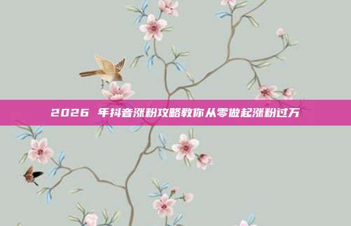 2026 年抖音涨粉攻略教你从零做起涨粉过万