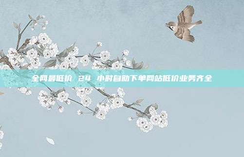 全网最低价 24 小时自助下单网站低价业务齐全