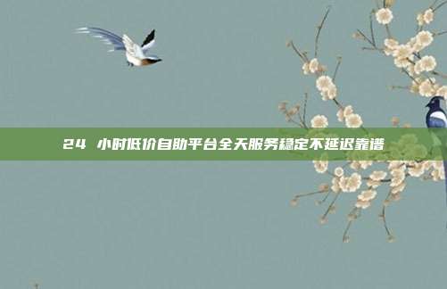 24 小时低价自助平台全天服务稳定不延迟靠谱