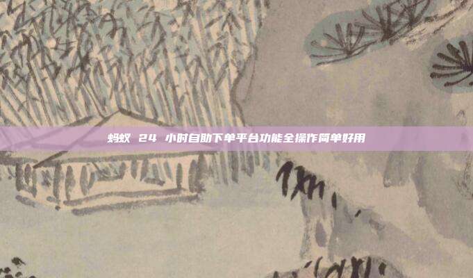 蚂蚁 24 小时自助下单平台功能全操作简单好用