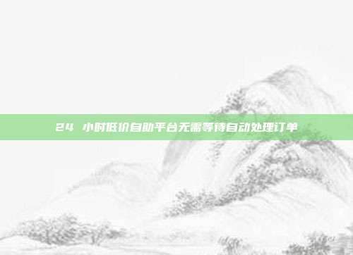 24 小时低价自助平台无需等待自动处理订单