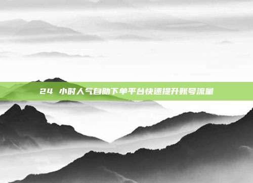 24 小时人气自助下单平台快速提升账号流量