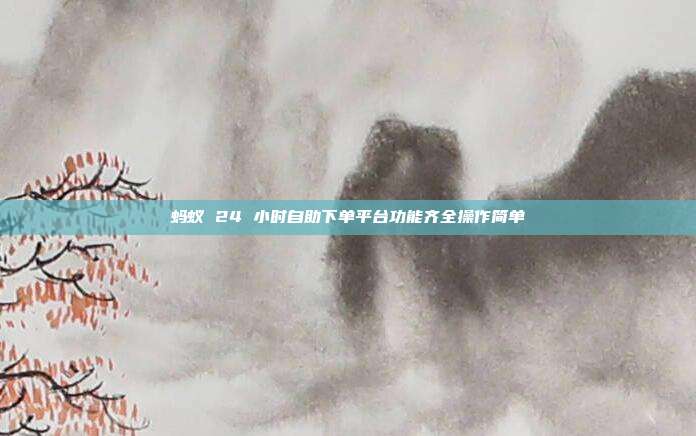 蚂蚁 24 小时自助下单平台功能齐全操作简单
