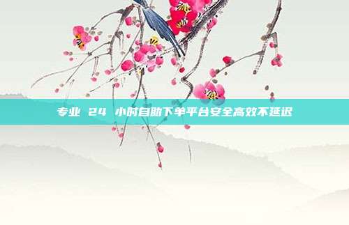 专业 24 小时自助下单平台安全高效不延迟