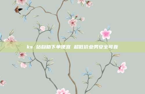 ks 站自助下单便宜 超低价业务安全可靠