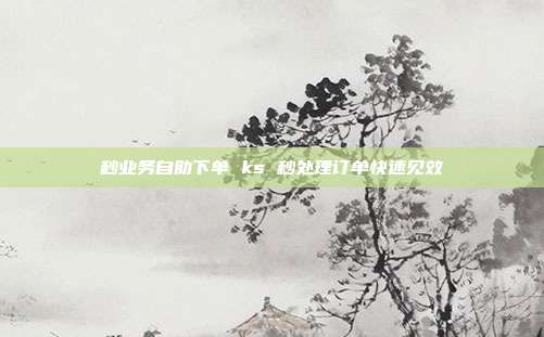 秒业务自助下单 ks 秒处理订单快速见效