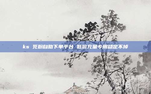ks 死粉自助下单平台 低价充量专用稳定不掉